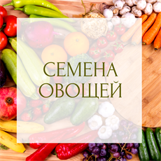 СЕМЕНА ОВОЩЕЙ