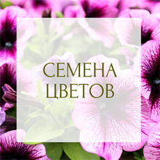 СЕМЕНА ЦВЕТОВ