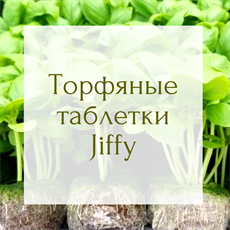 ТОРФЯНЫЕ ТАБЛЕТКИ
