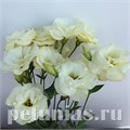 Эустома Flare Yellow - 5 шт 11327 - фото 512